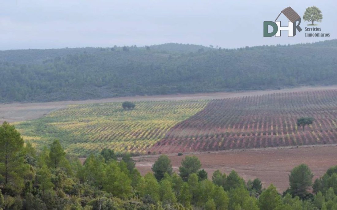 Terrain à Cuenca, Castille-La Manche, Espagne 4 - 13111435