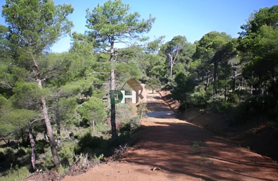 Terrain à Cuenca, Castille-La Manche, Espagne 4 - 13111486