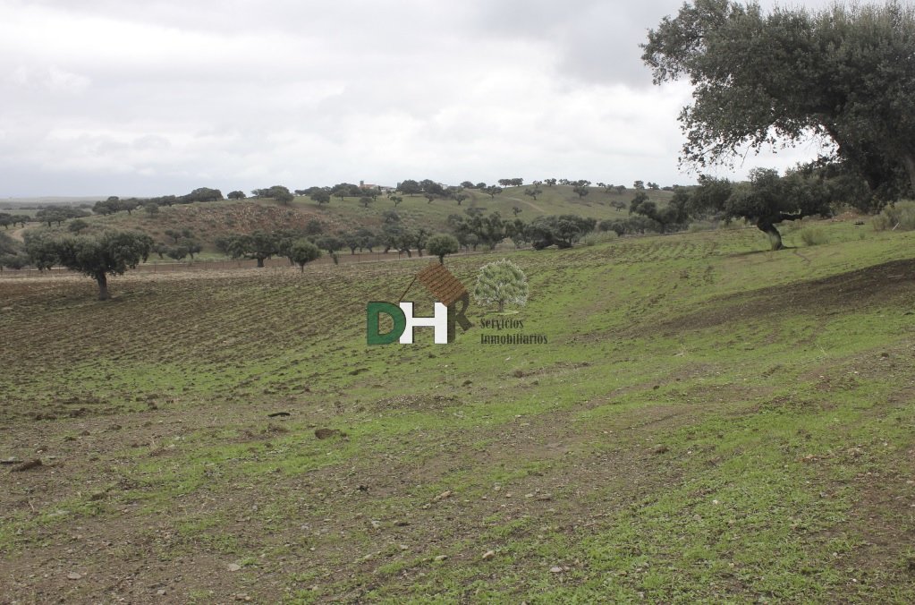 Land in Cáceres, Extremadura, Spain 2 - 13438644