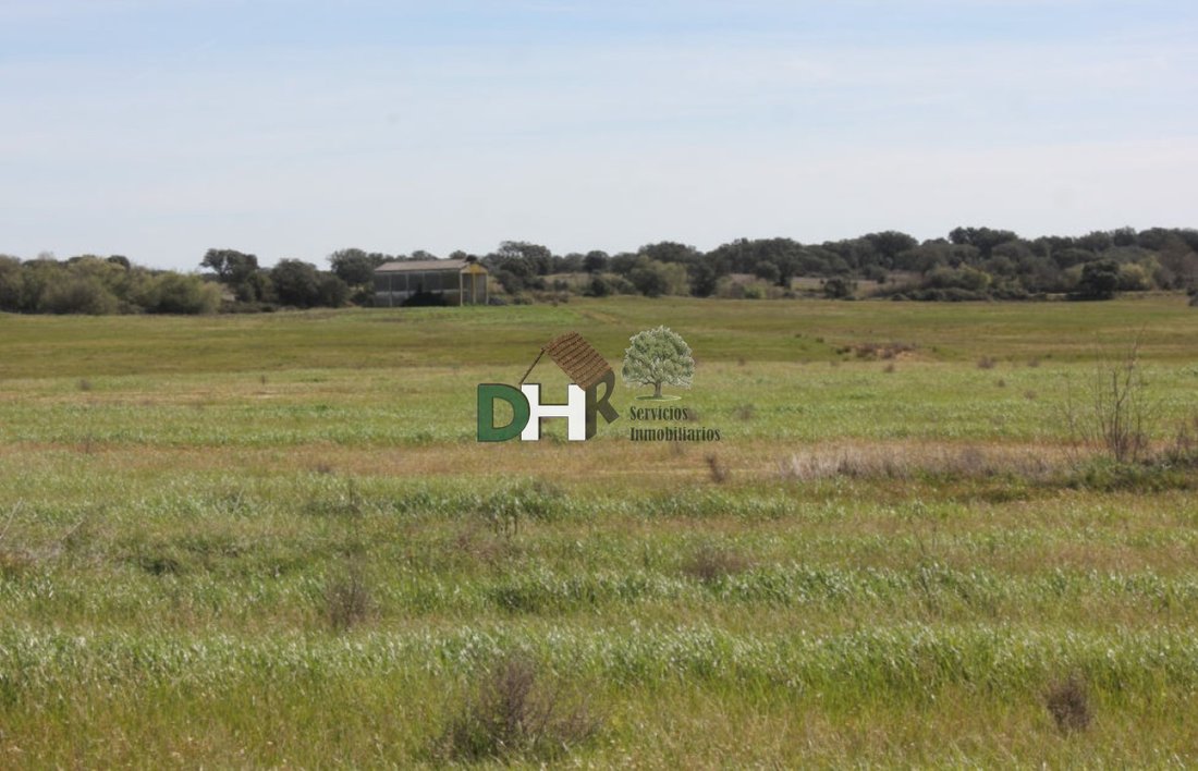 Land in Cáceres, Extremadura, Spain 5 - 13111482