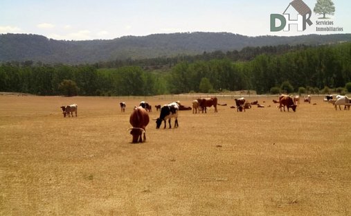 Terreno a Cuenca, Castiglia-La Mancia, Spagna 1