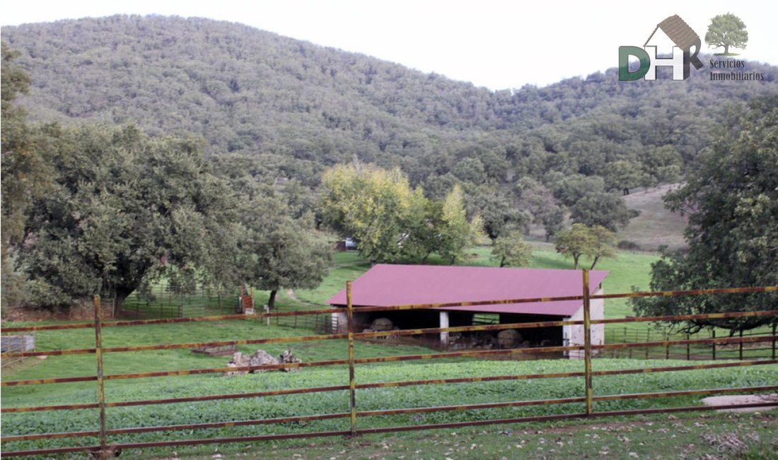 Land in Cáceres, Extremadura, Spain 3 - 13111463
