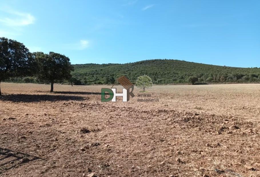 Land in Ciudad Real, Kastilien-La Mancha, Spanien 4 - 16948698