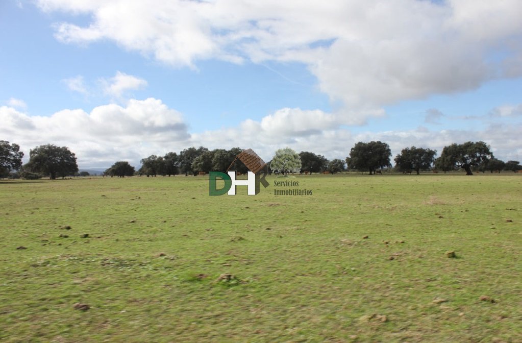 Land in Cáceres, Extremadura, Spain 1 - 13453741