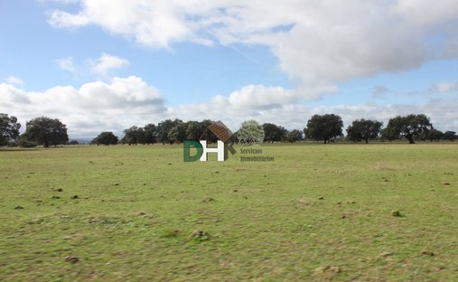 Terreno a Cáceres, Estremadura, Spagna 1