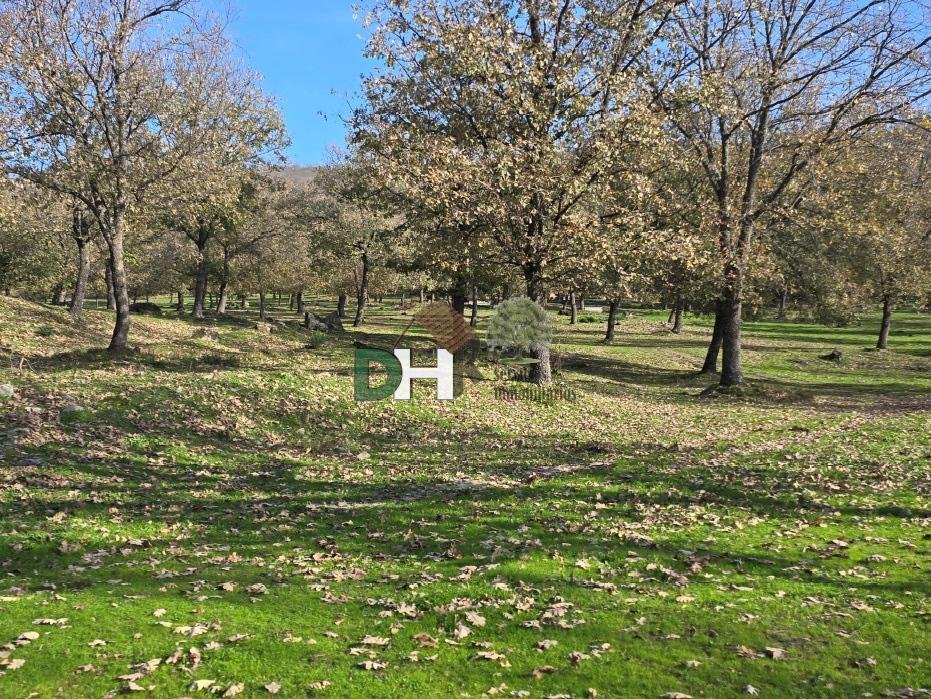 Land in Cáceres, Extremadura, Spain 4 - 15269877