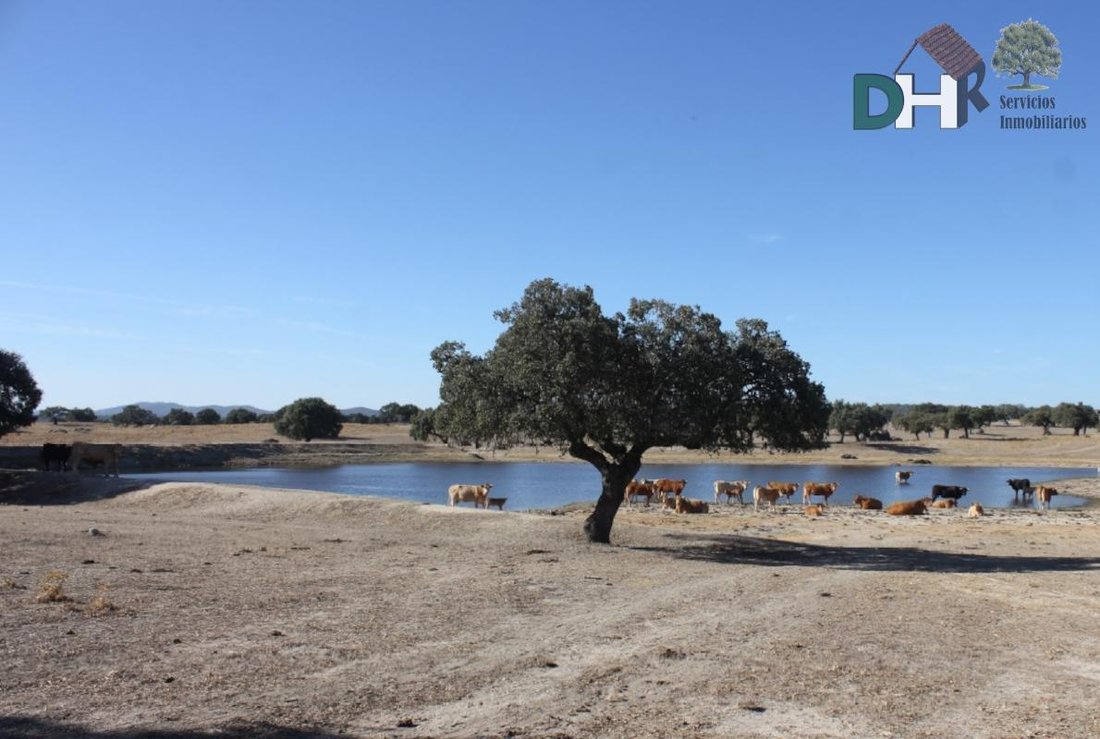 Land in Cáceres, Extremadura, Spanien 2 - 13963760
