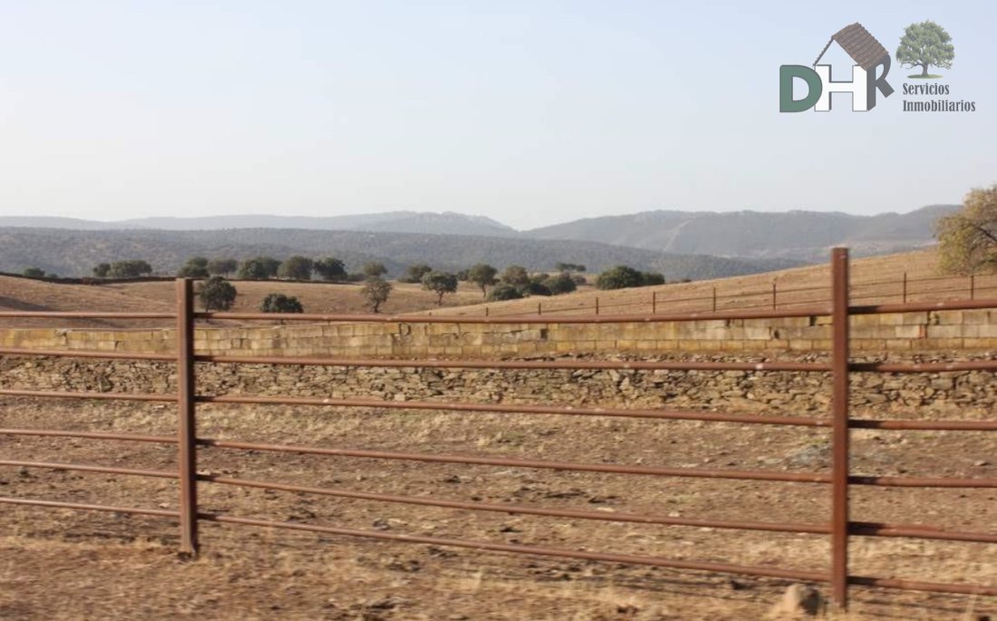 Land in Cáceres, Extremadura, Spain 5 - 13111387