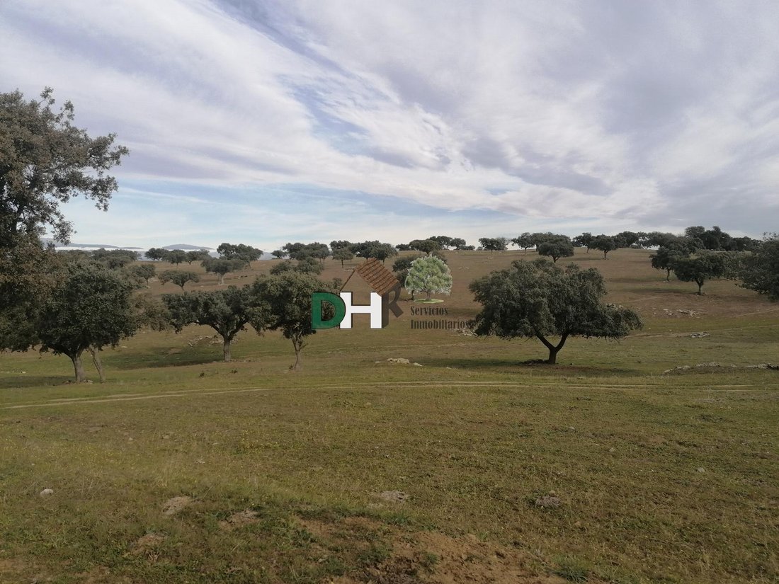 Land in Cáceres, Extremadura, Spain 3 - 13111272