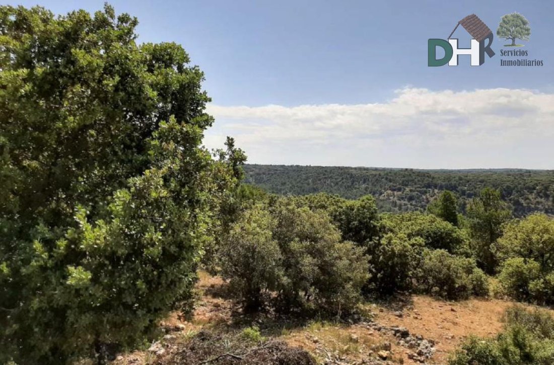 Terrain à Cuenca, Castille-La Manche, Espagne 1 - 14872652