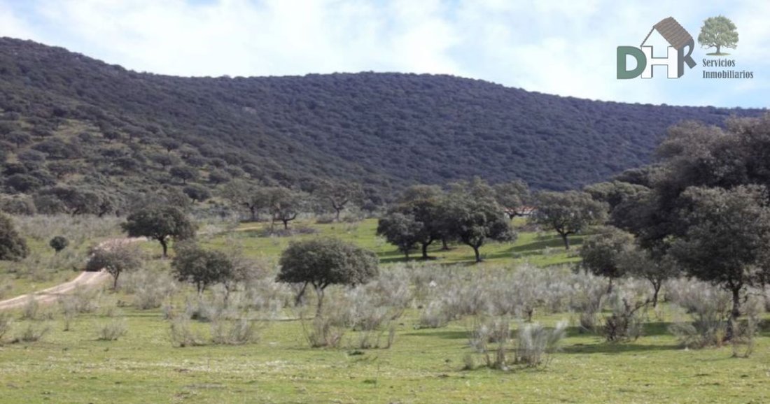Land in Cáceres, Extremadura, Spain 1 - 13111339