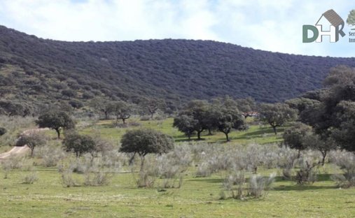 Terrain à Cáceres, Estrémadure, Espagne 1