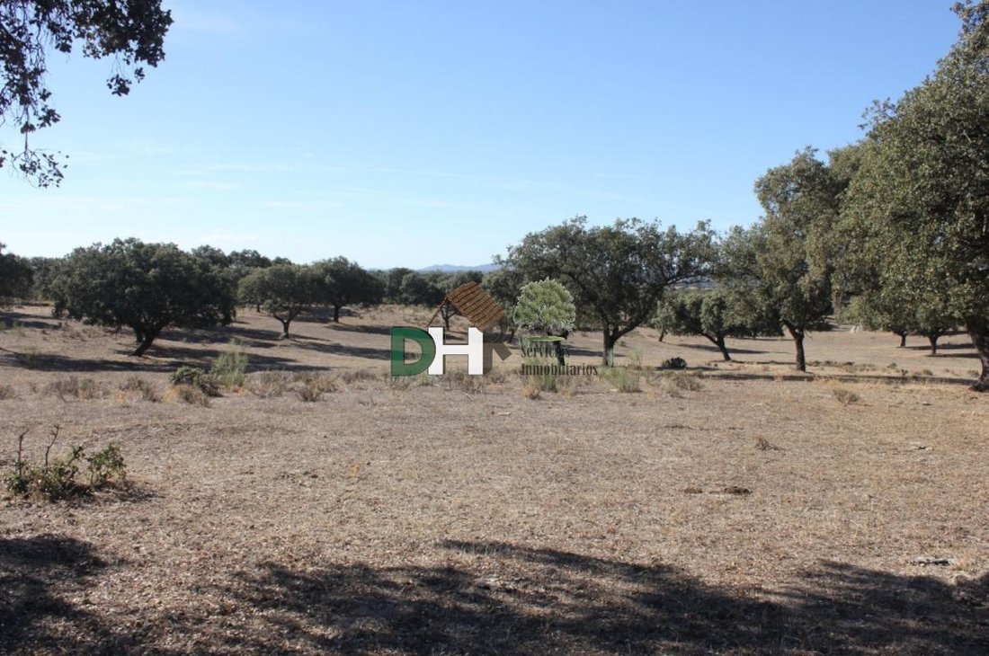 Land in Cáceres, Extremadura, Spanien 1 - 13963760