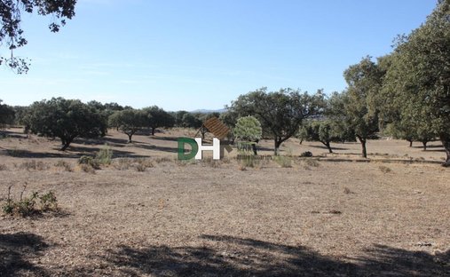 Land in Cáceres, Extremadura, Spain 1