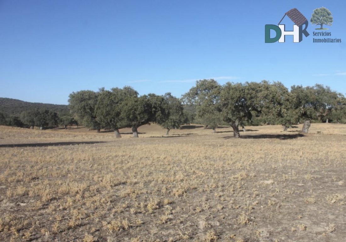 Land in Cáceres, Extremadura, Spanien 4 - 13963760