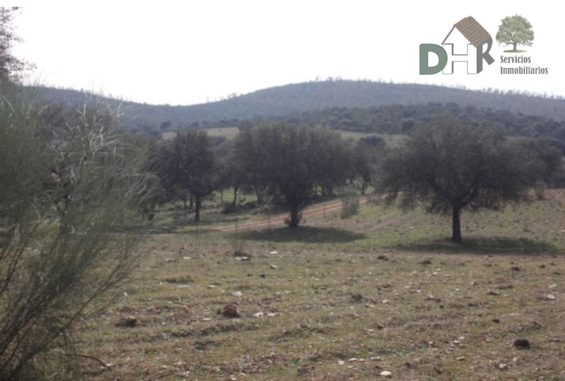Land in Badajoz, Extremadura, Spain 3 - 13111439