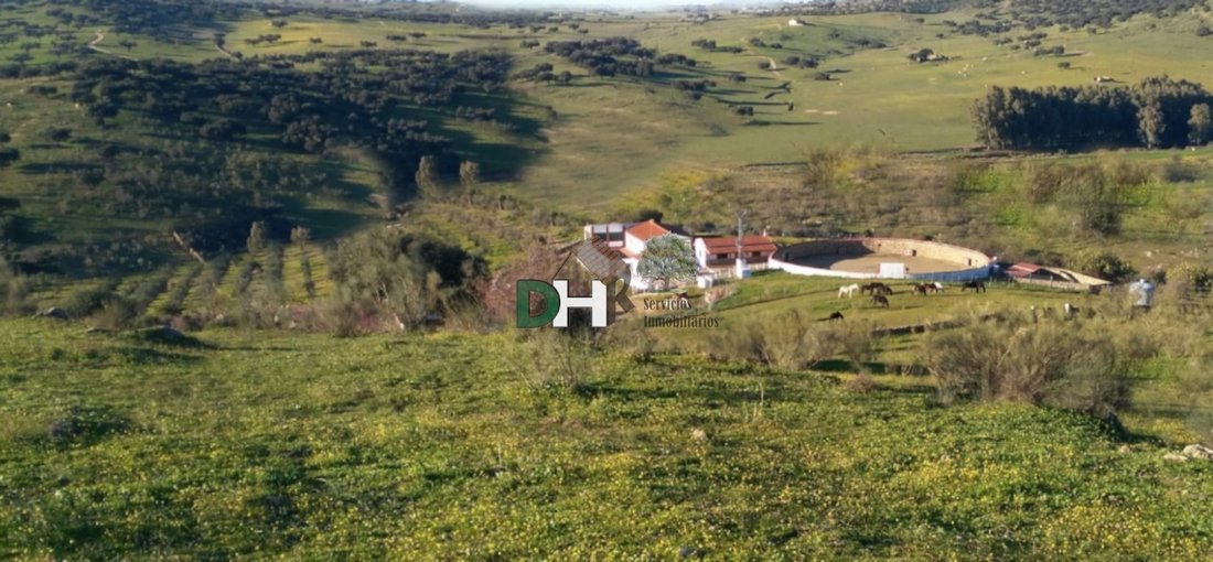 Terreno a Badajoz, Estremadura, Spagna 1 - 13466440