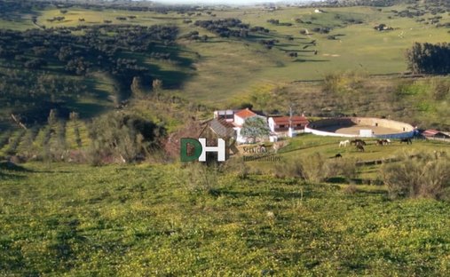 Terrain à Badajoz, Estrémadure, Espagne 1