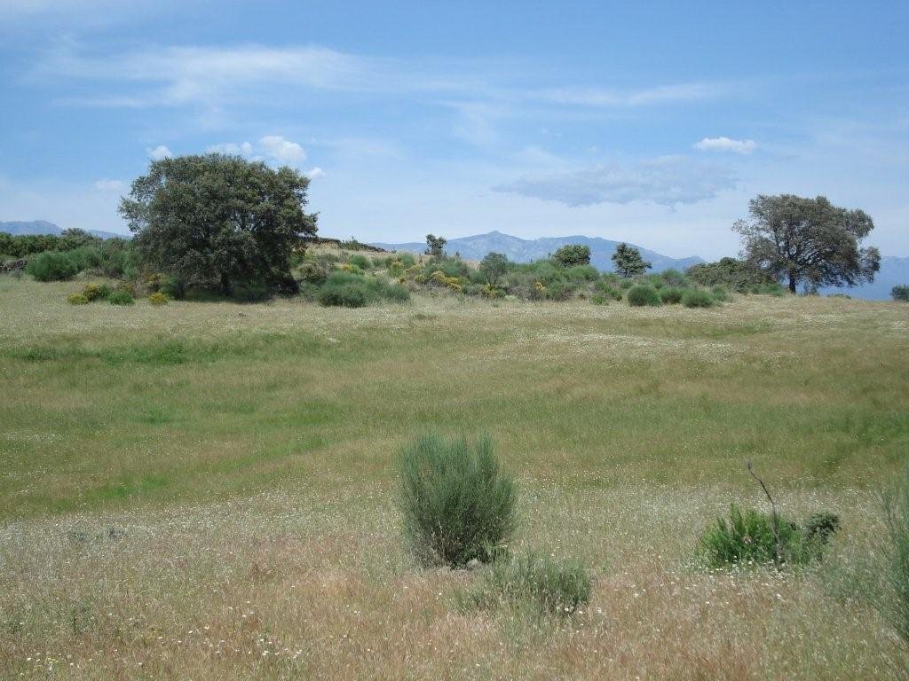 Land in Cáceres, Extremadura, Spain 3 - 14967069