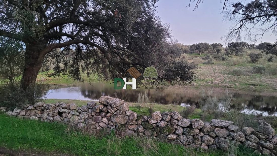 Land in Cáceres, Extremadura, Spain 3 - 13111462