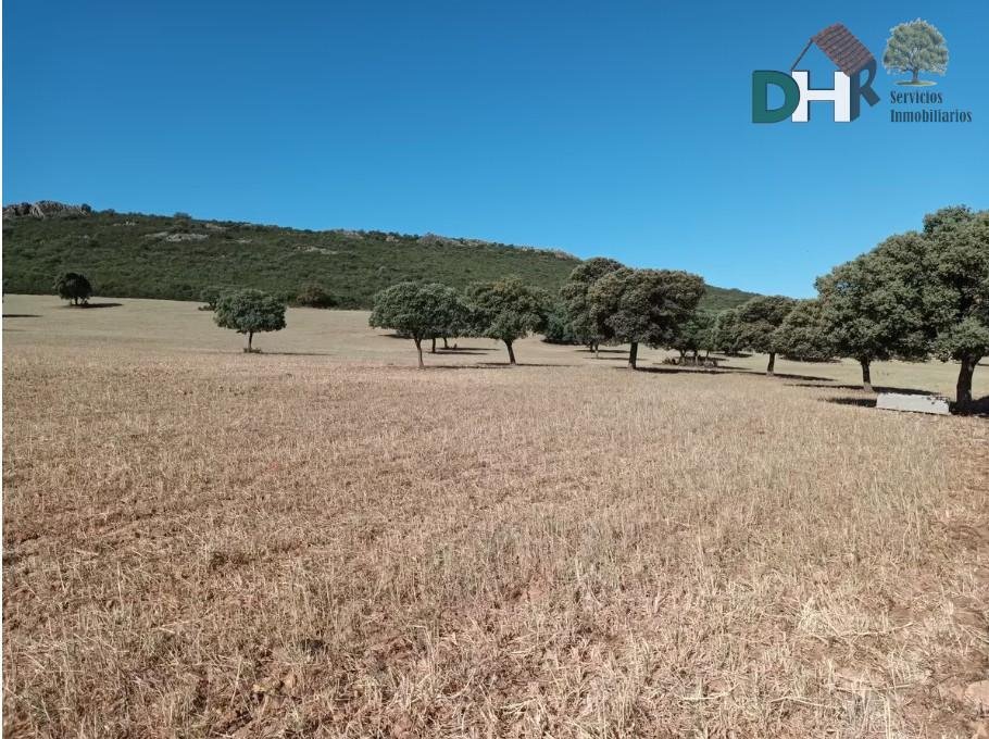 Land in Ciudad Real, Kastilien-La Mancha, Spanien 2 - 16948698