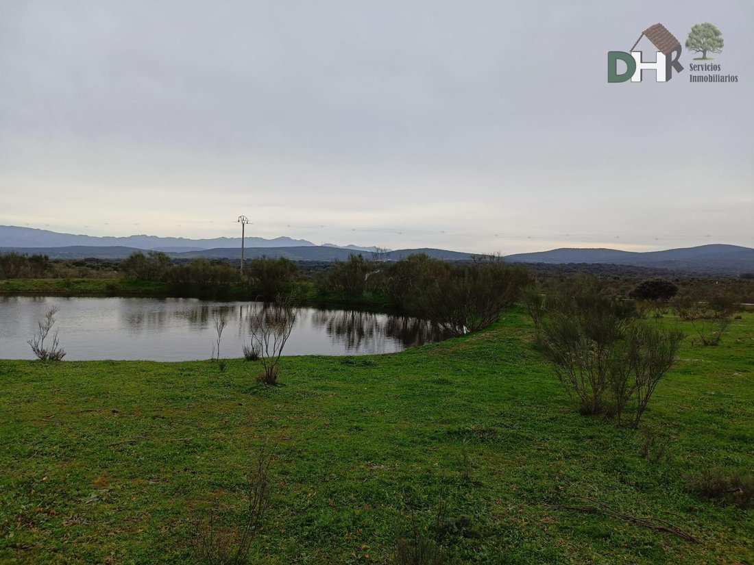 Land in Cáceres, Extremadura, Spain 1 - 14967067
