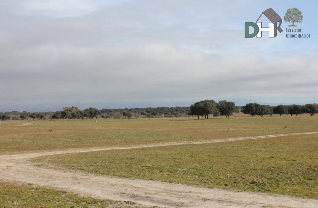 Terrain à Tolède, Castille-La Manche, Espagne 3 - 13111475