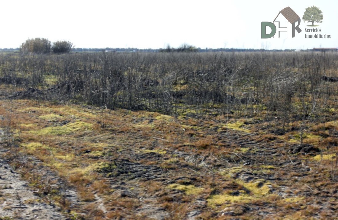 Land in Badajoz, Extremadura, Spain 2 - 13111472