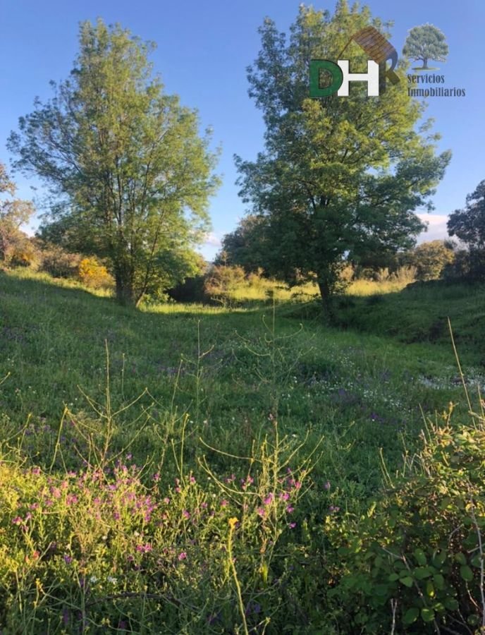 Land in Cáceres, Extremadura, Spain 5 - 13111248