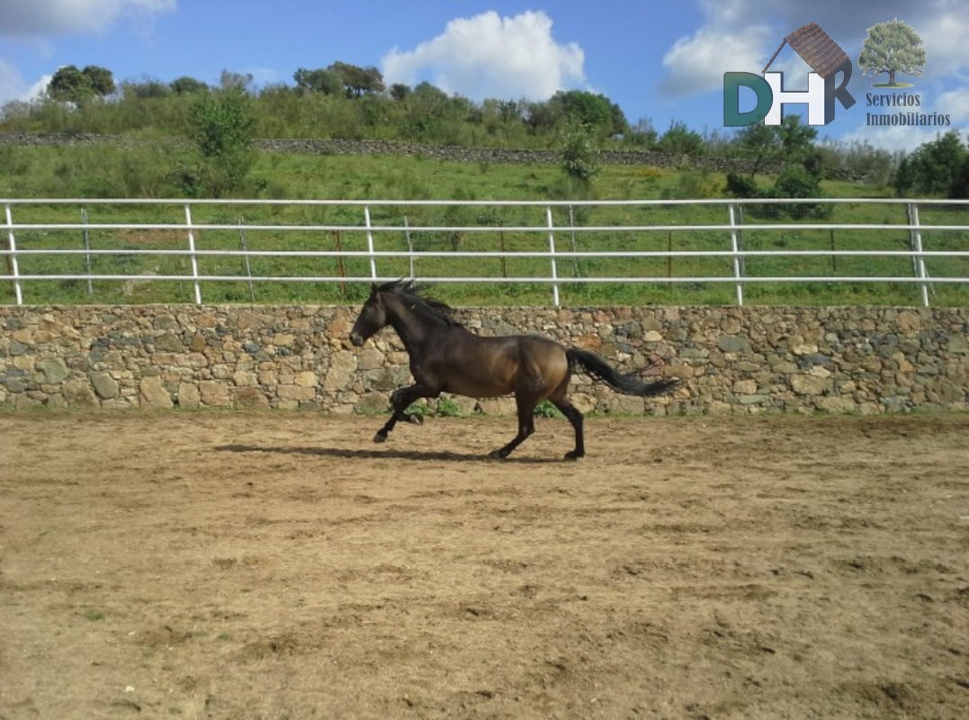 Terreno a Badajoz, Estremadura, Spagna 5 - 13466440