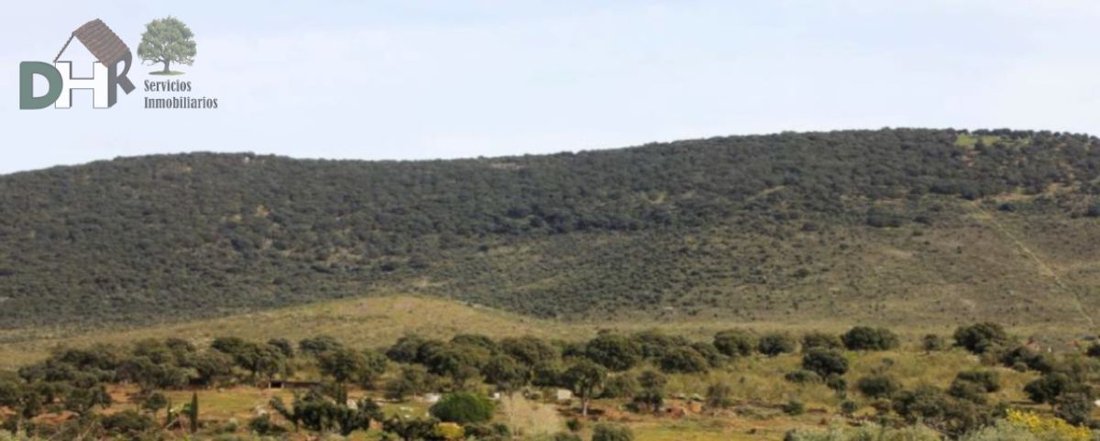Land in Cáceres, Extremadura, Spain 4 - 13111339