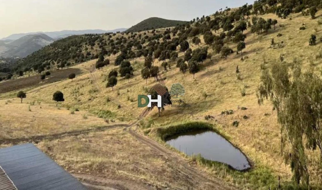 Land in Ciudad Real, Kastilien-La Mancha, Spanien 4 - 15305380