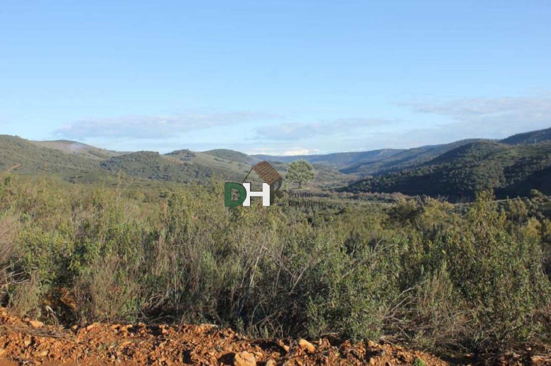 Land in Cáceres, Extremadura, Spanien 2 - 15500994
