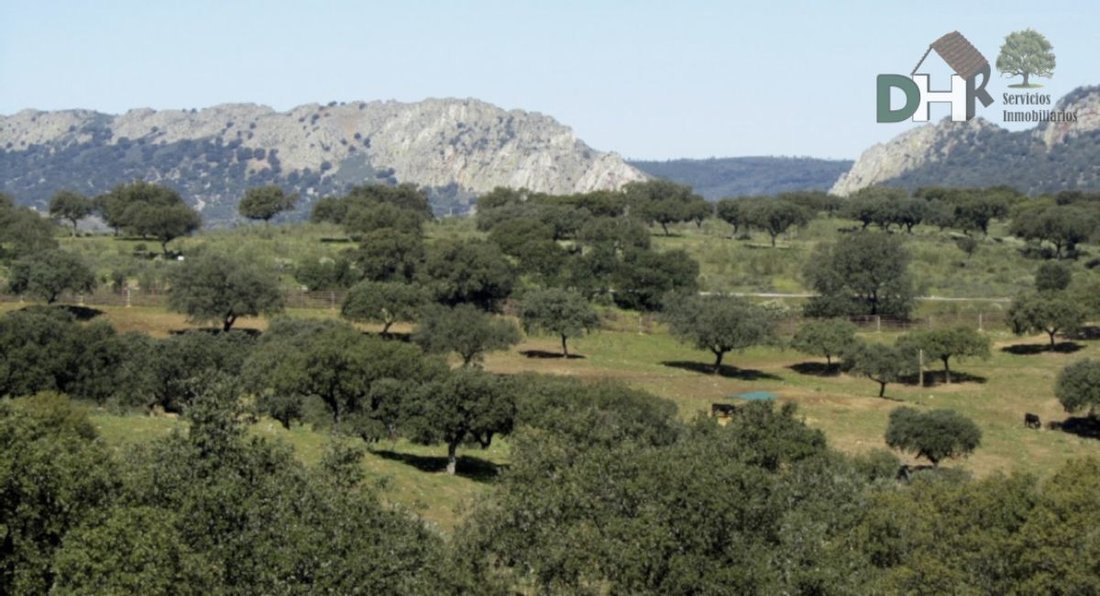 Terrain à Torrejón el Rubio, Estrémadure, Espagne 1 - 13111431