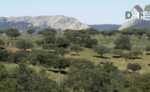 Terrain à Torrejón el Rubio, Estrémadure, Espagne 1