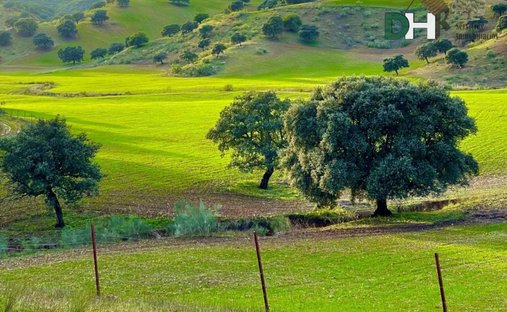 Land in Distrito Norte, Sevilla, Spanien 1
