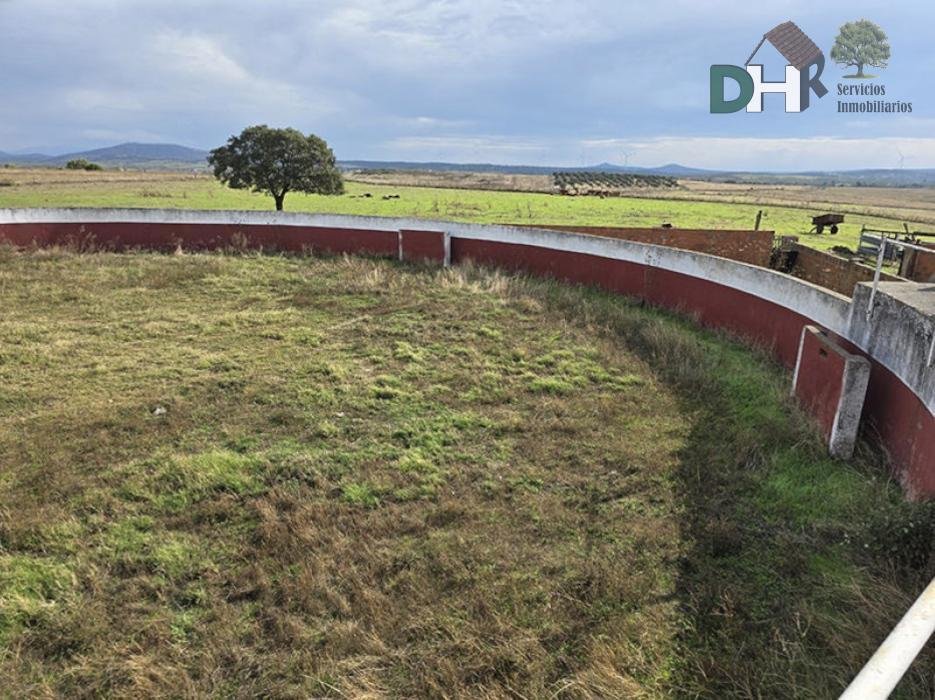 Land in Cáceres, Extremadura, Spain 4 - 16584292