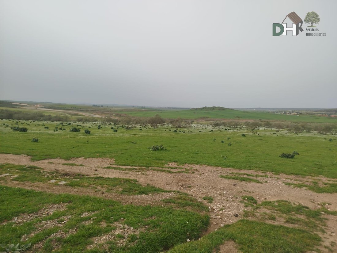 Land in Cáceres, Extremadura, Spanien 2 - 17458863