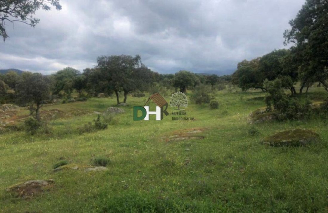 Land in Cáceres, Extremadura, Spain 2 - 13111248