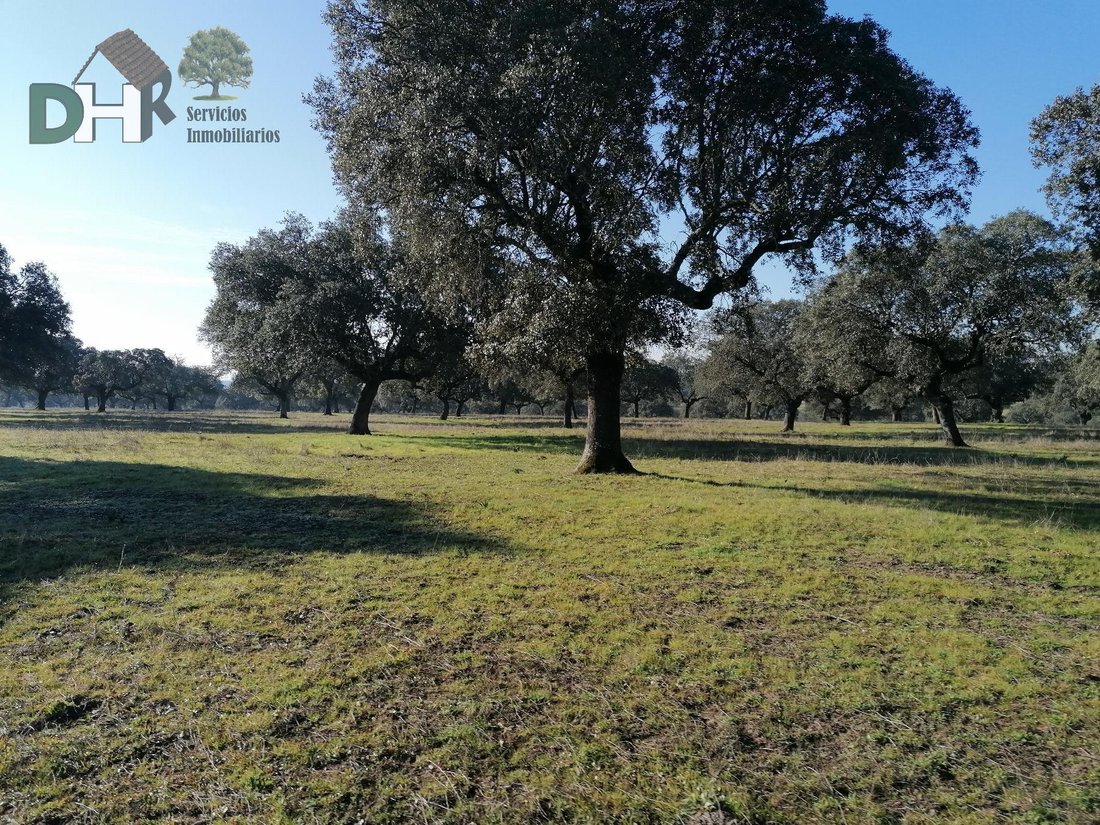 Land in Cáceres, Extremadura, Spain 2 - 15078042