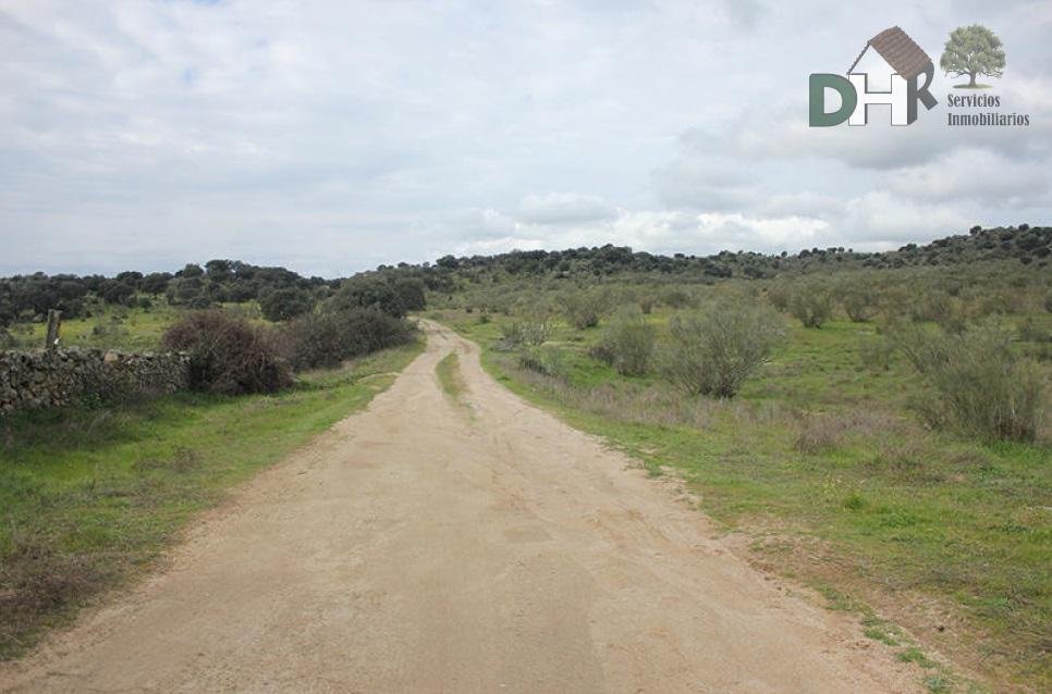Land in Cáceres, Extremadura, Spanien 5 - 16752901