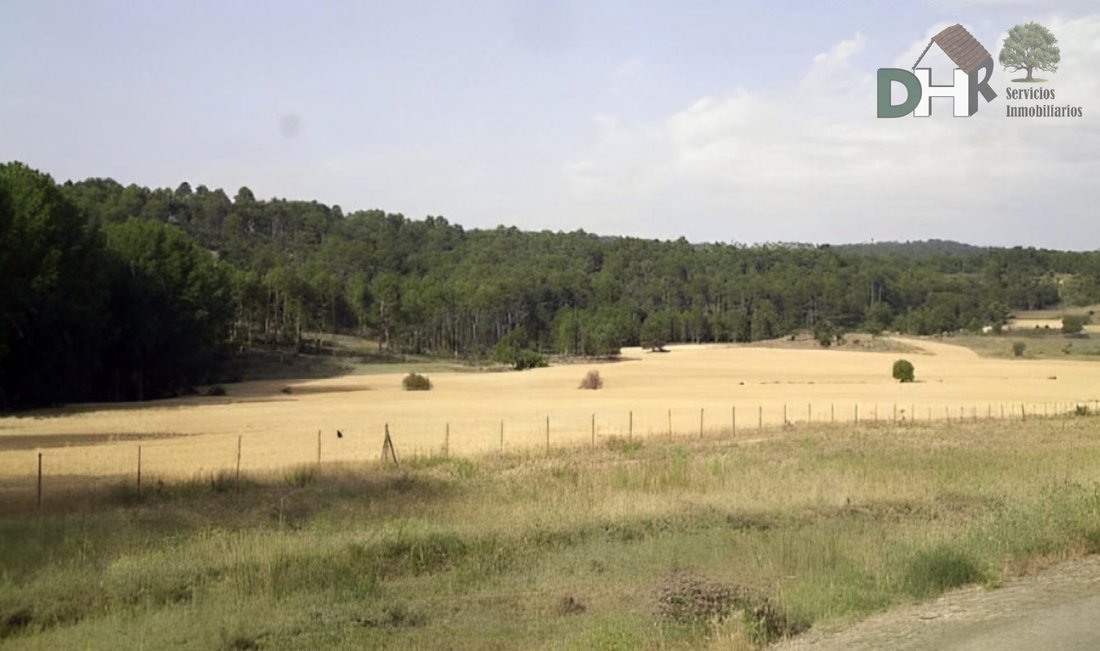 Terrain à Cuenca, Castille-La Manche, Espagne 2 - 13111486