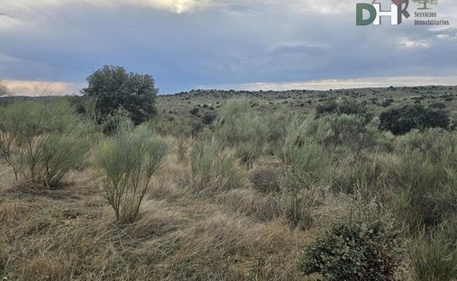 Terreno a Cáceres, Estremadura, Spagna 1