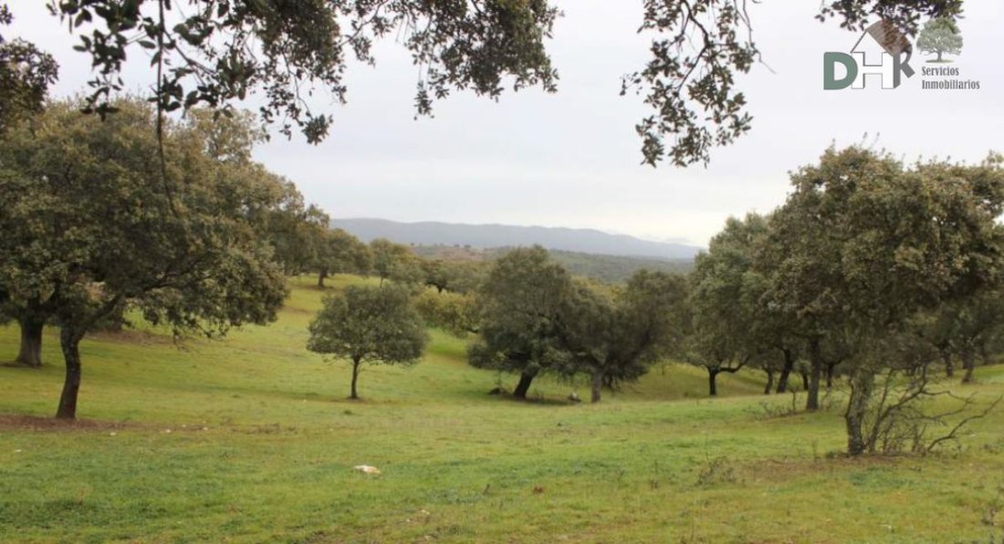 Land in Cáceres, Extremadura, Spain 1 - 13111356