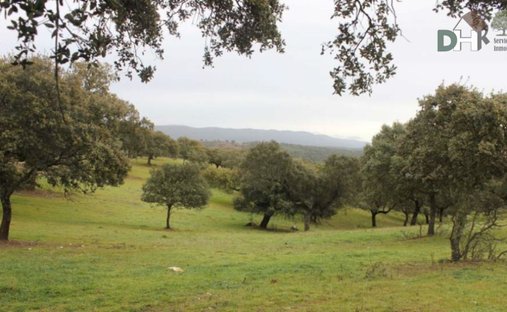 Land in Cáceres, Extremadura, Spain 1