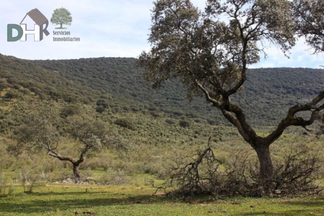 Land in Cáceres, Extremadura, Spain 2 - 13111339