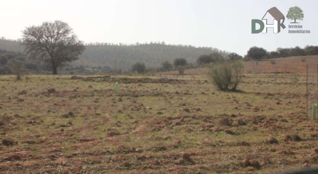 Land in Badajoz, Extremadura, Spain 5 - 13111439