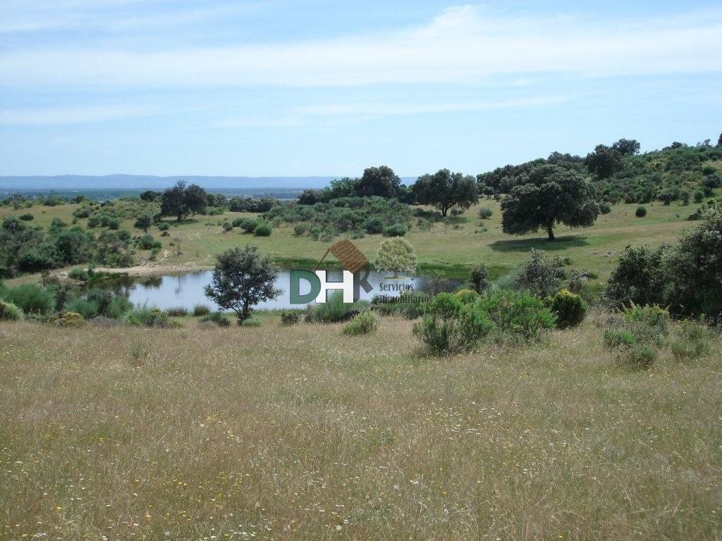 Land in Cáceres, Extremadura, Spain 1 - 14967069