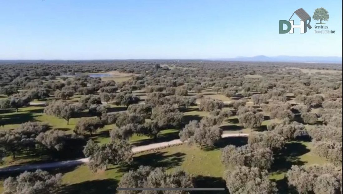 Land in Cáceres, Extremadura, Spain 2 - 13111393
