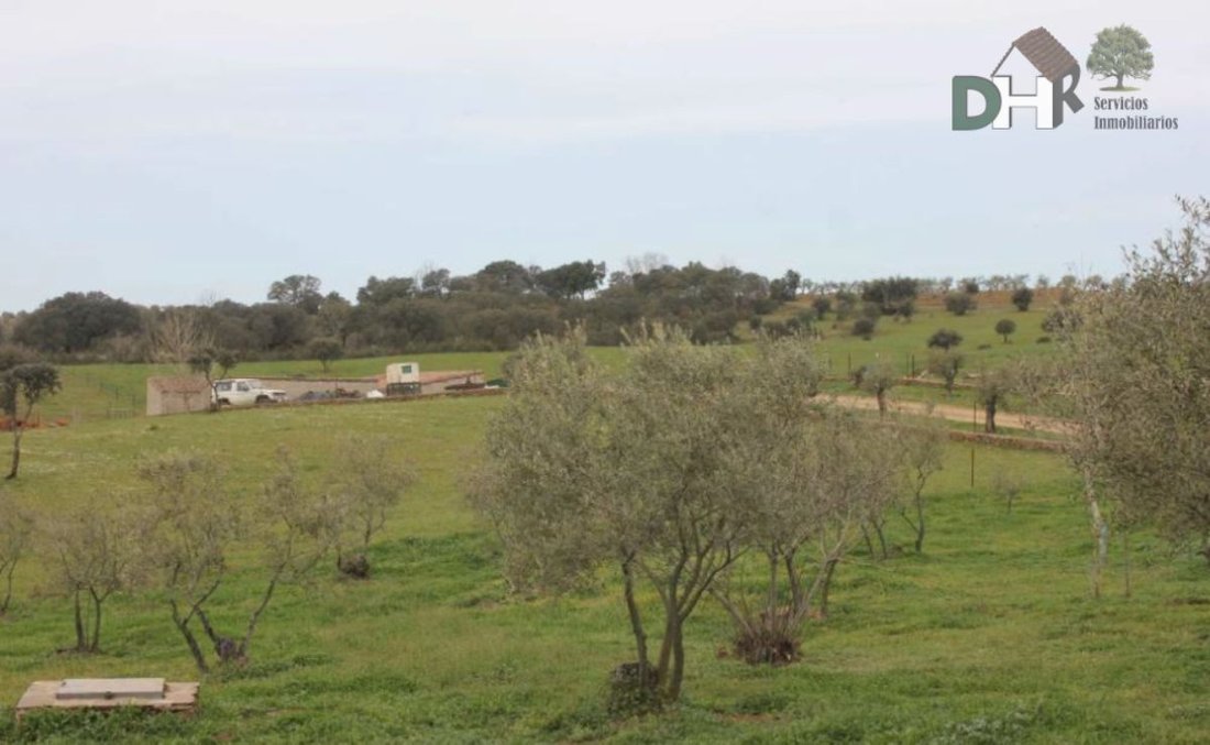 Land in Cáceres, Extremadura, Spain 2 - 13111440
